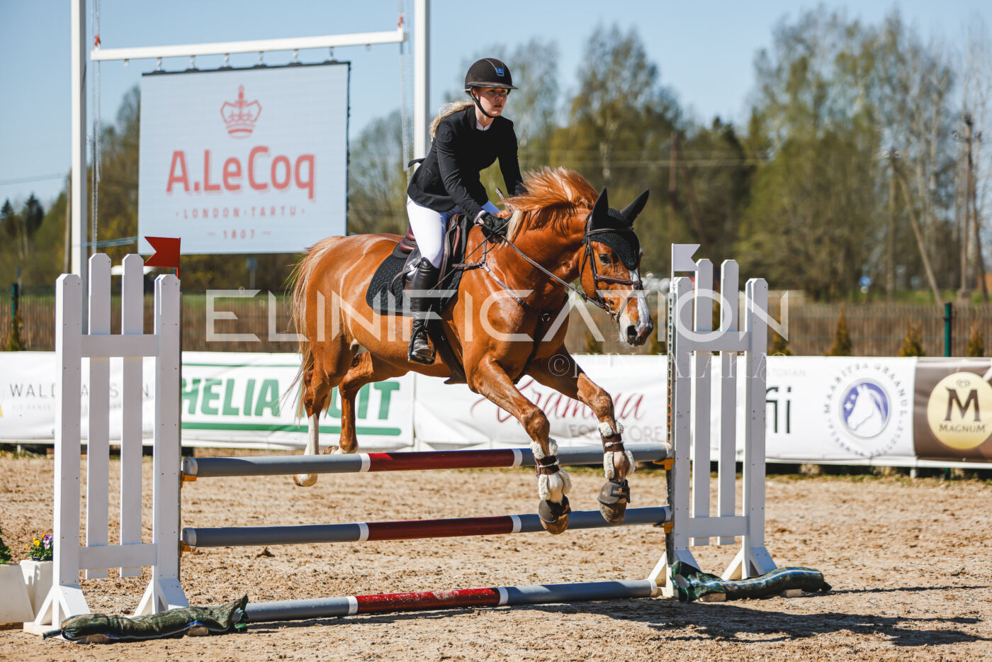 Gramina_Volber_2026_90_0925