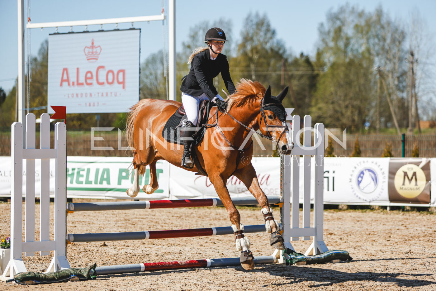 Gramina_Volber_2026_90_0926
