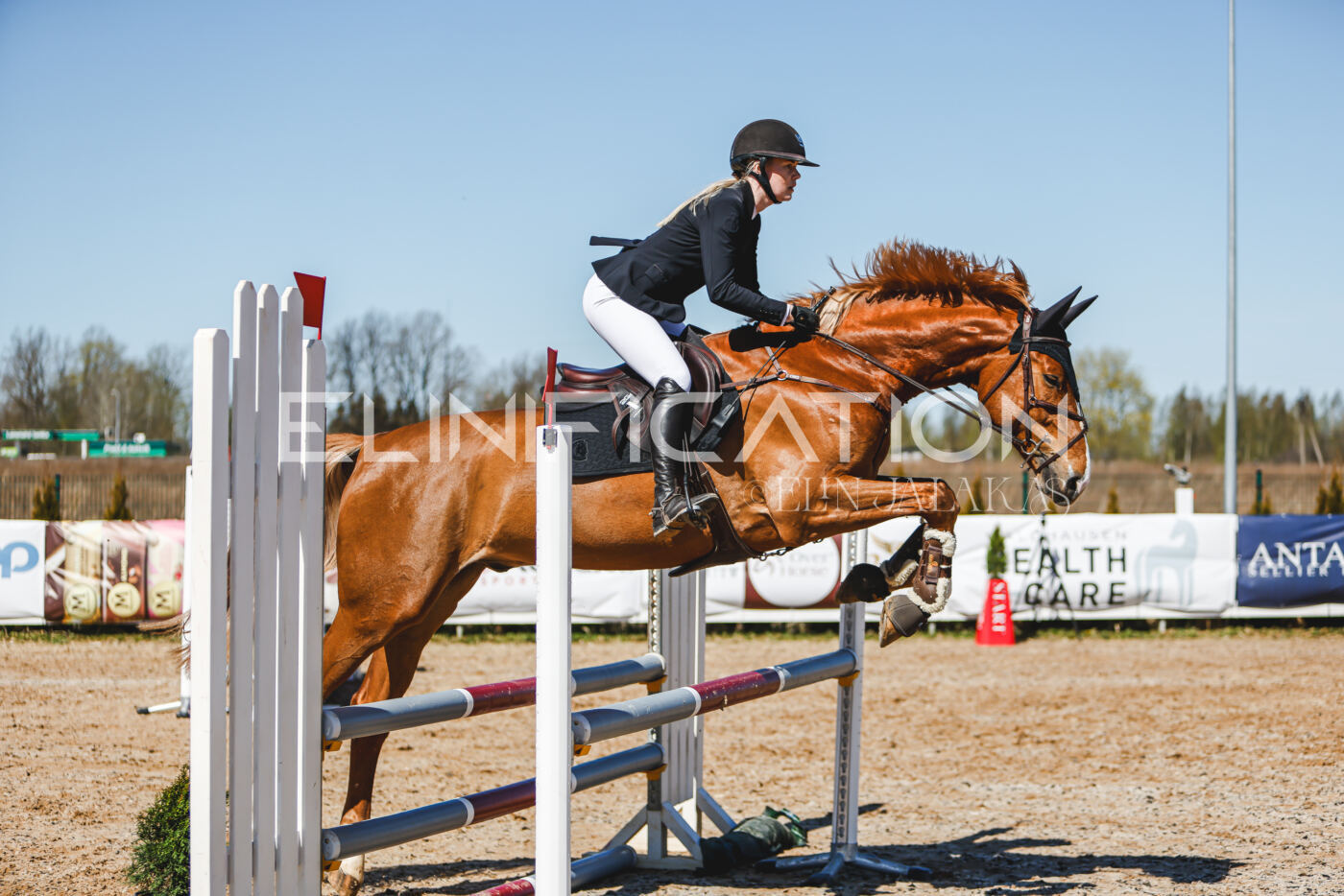 Gramina_Volber_2026_90_0927