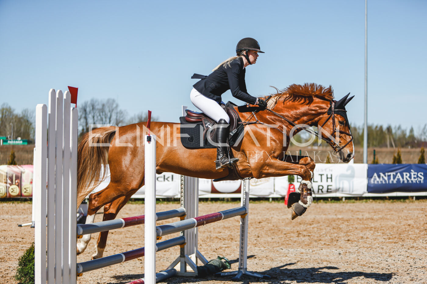 Gramina_Volber_2026_90_0928