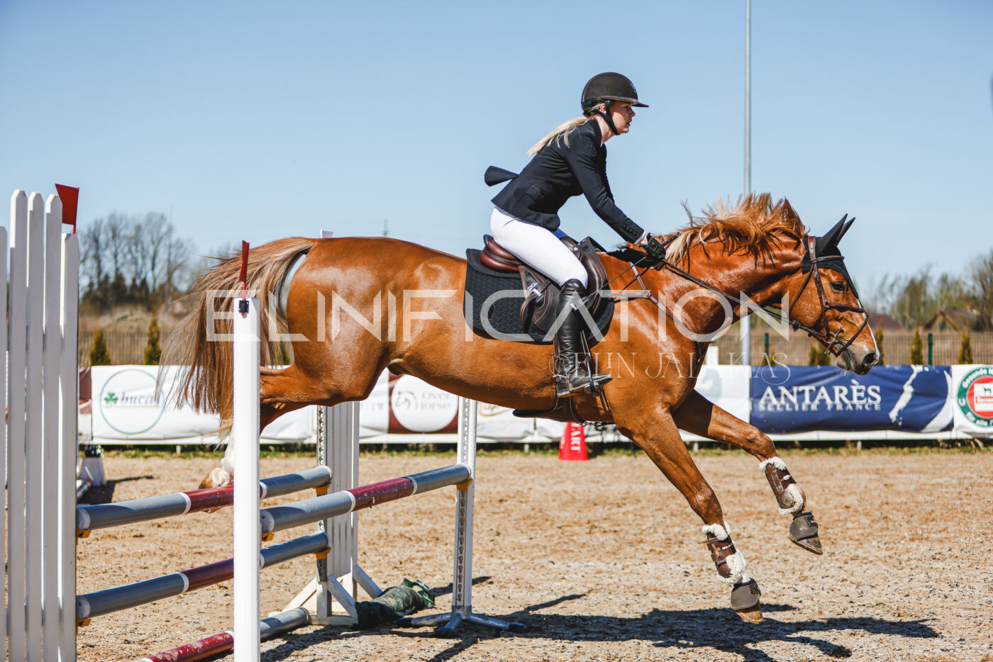 Gramina_Volber_2026_90_0930