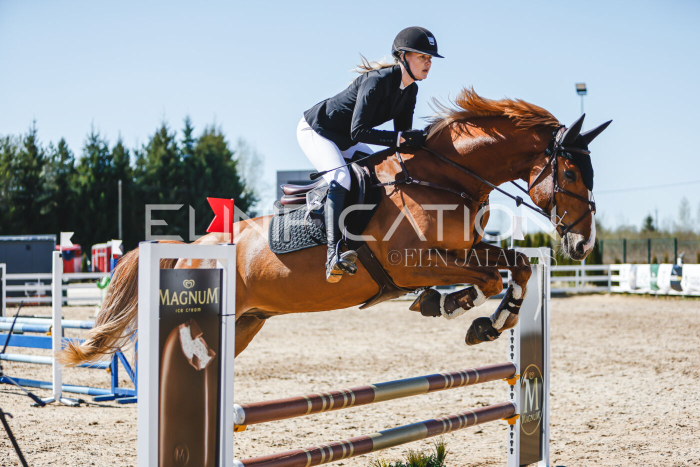 Gramina_Volber_2026_90_0938