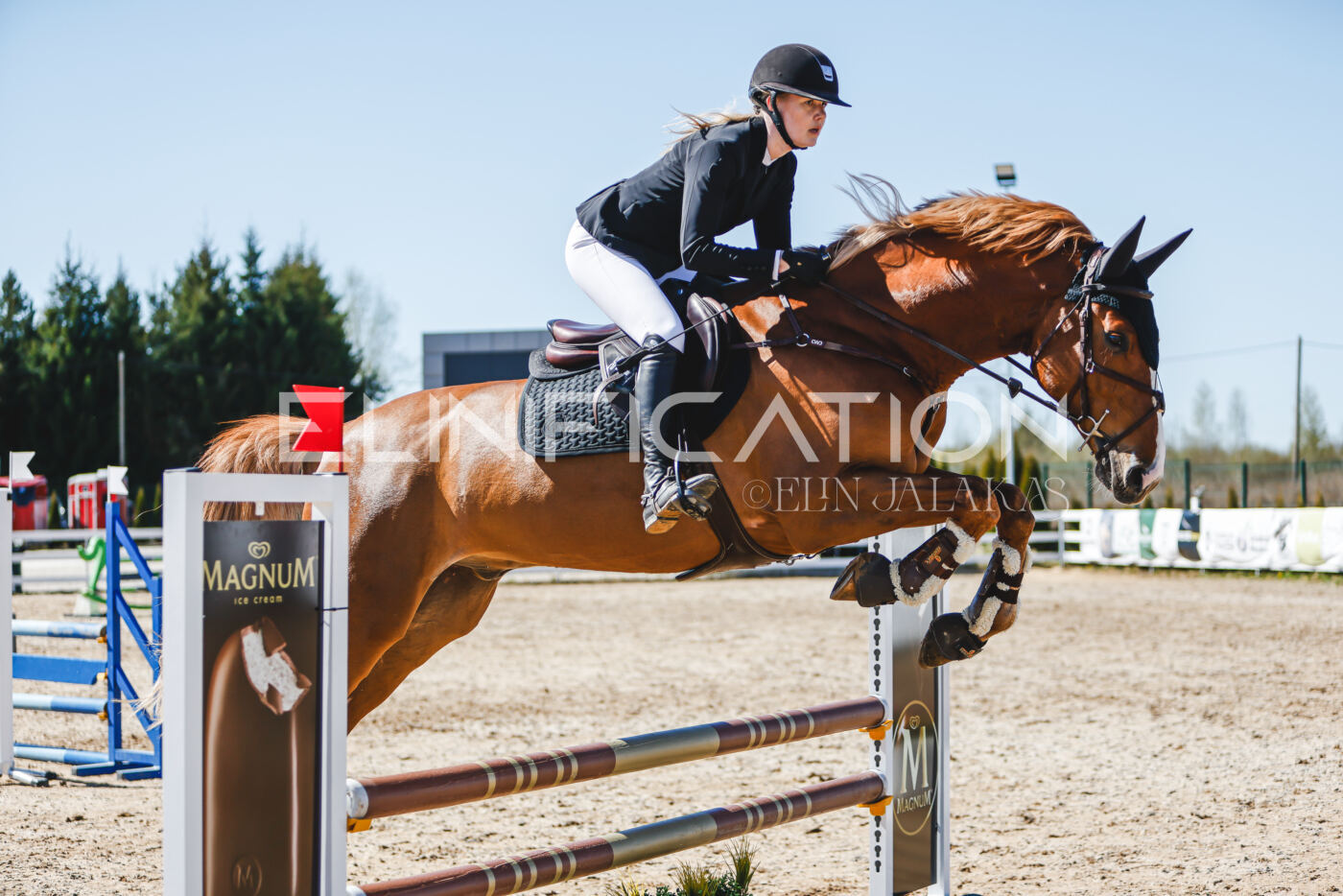 Gramina_Volber_2026_90_0939