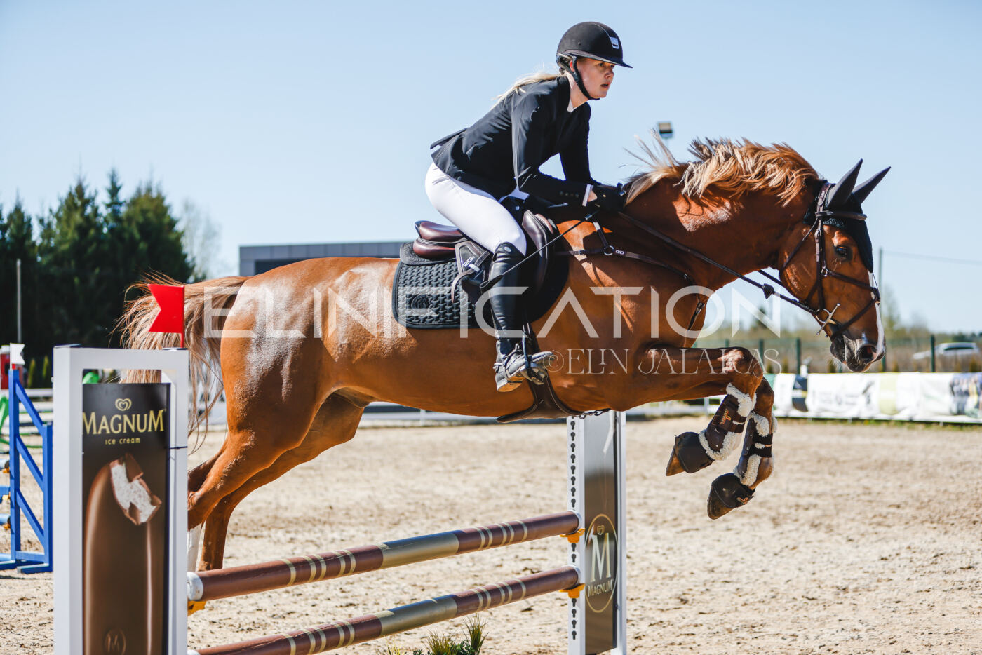 Gramina_Volber_2026_90_0940