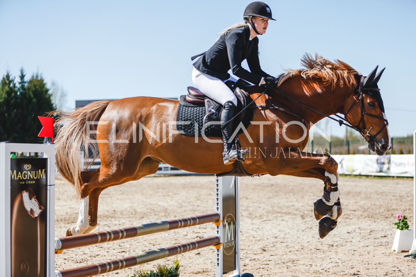 Gramina_Volber_2026_90_0941