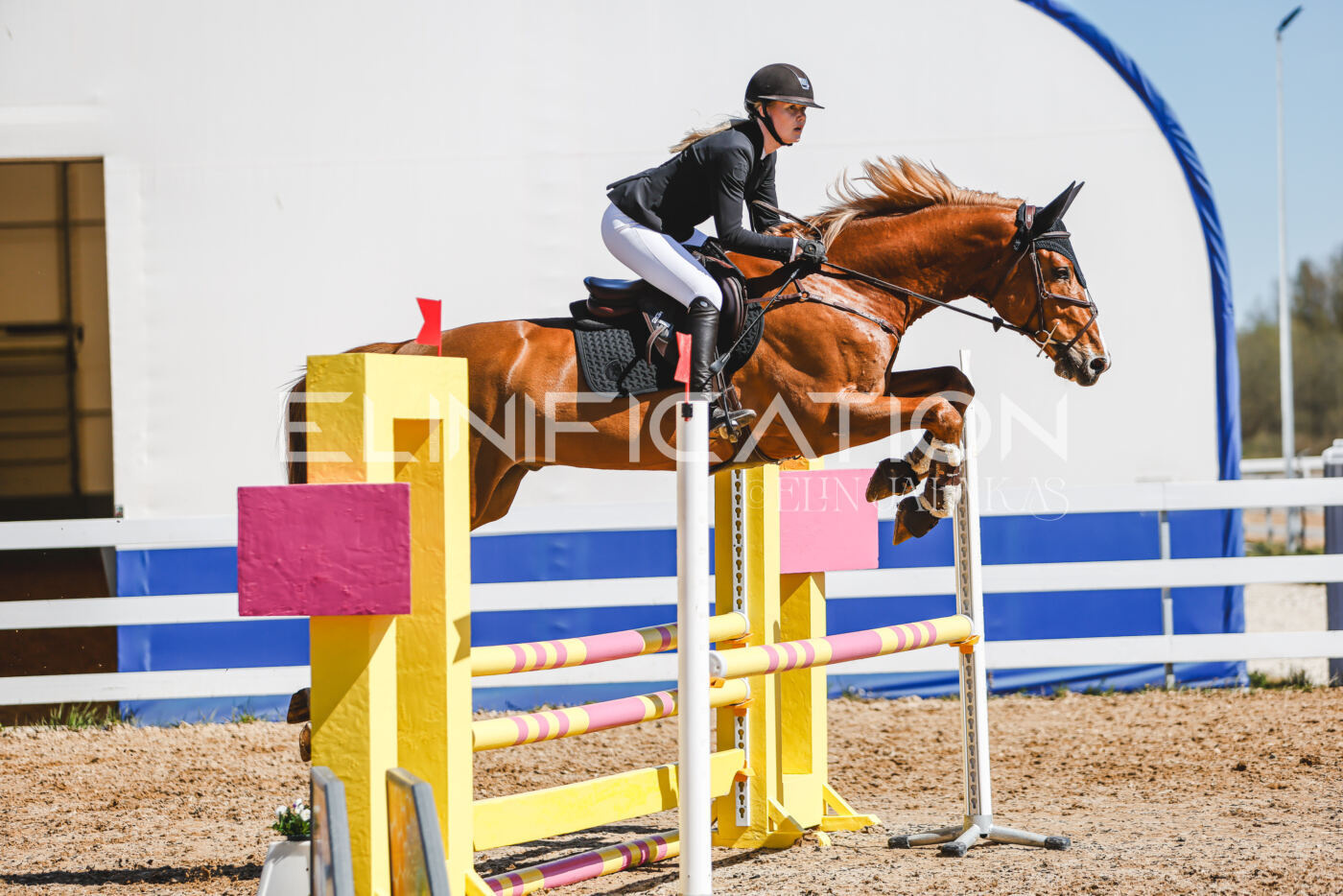 Gramina_Volber_2026_90_0944