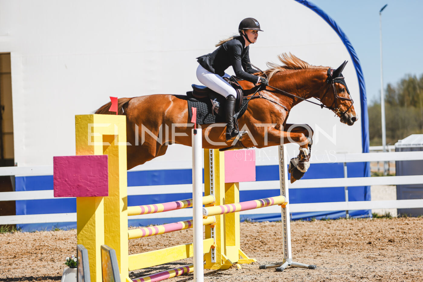 Gramina_Volber_2026_90_0945