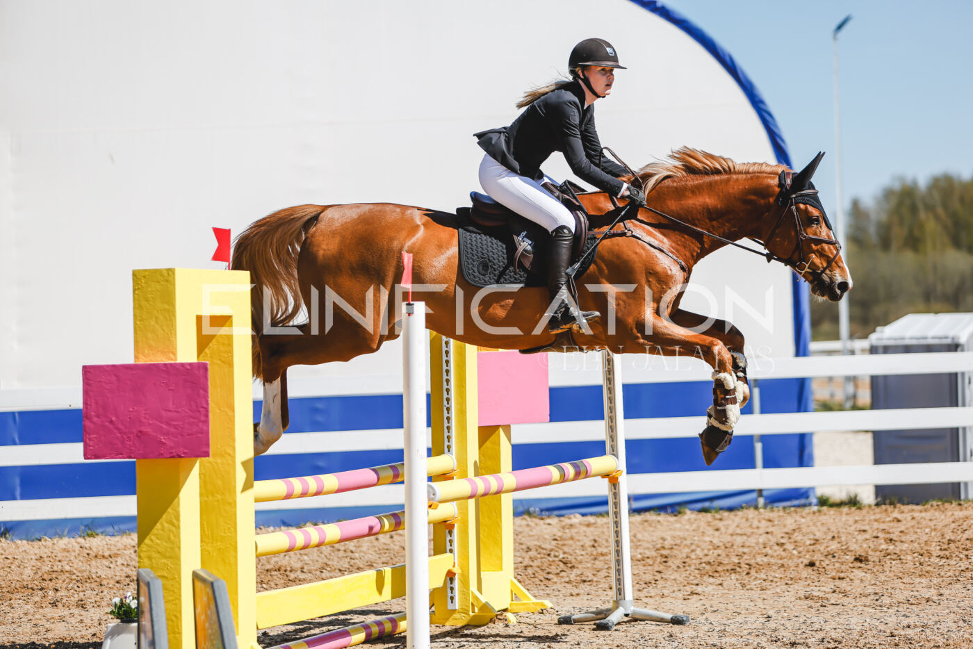 Gramina_Volber_2026_90_0946