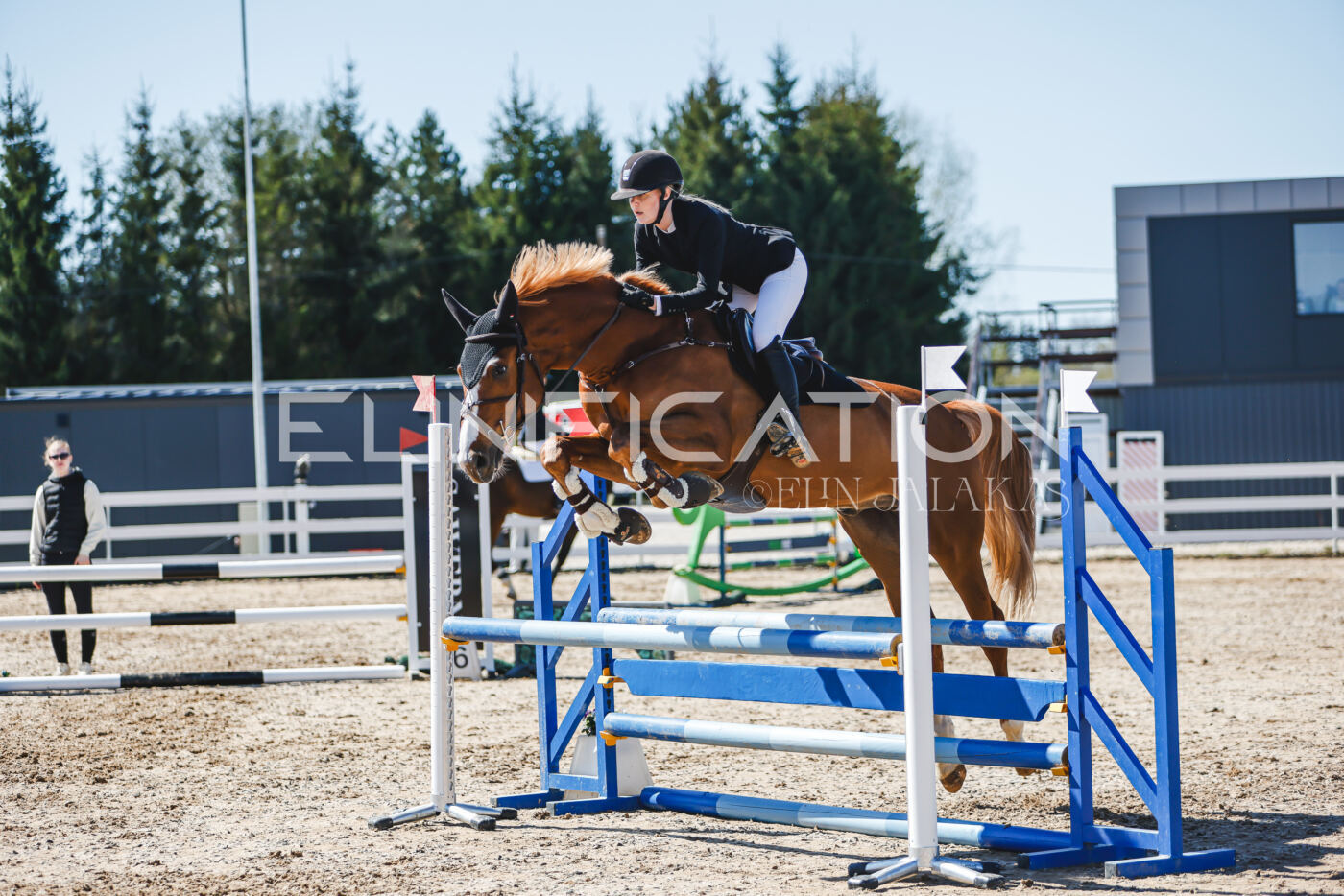 Gramina_Volber_2026_90_0947
