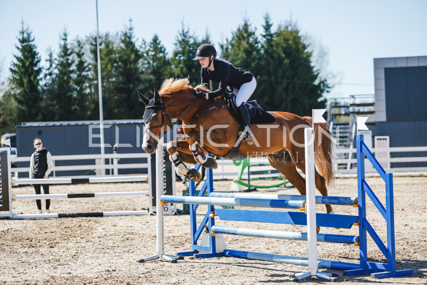 Gramina_Volber_2026_90_0948