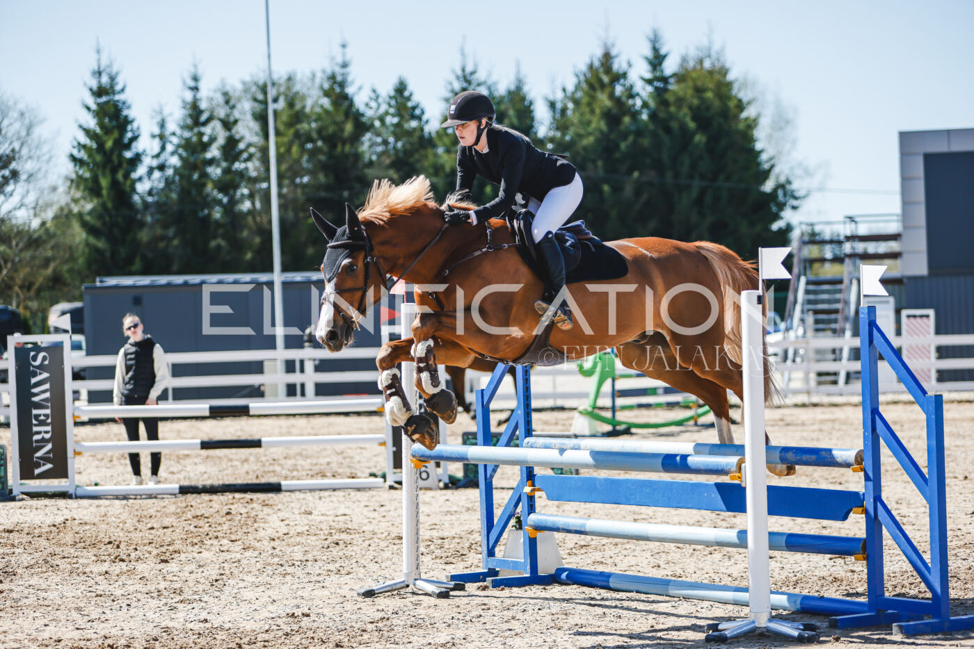 Gramina_Volber_2026_90_0949