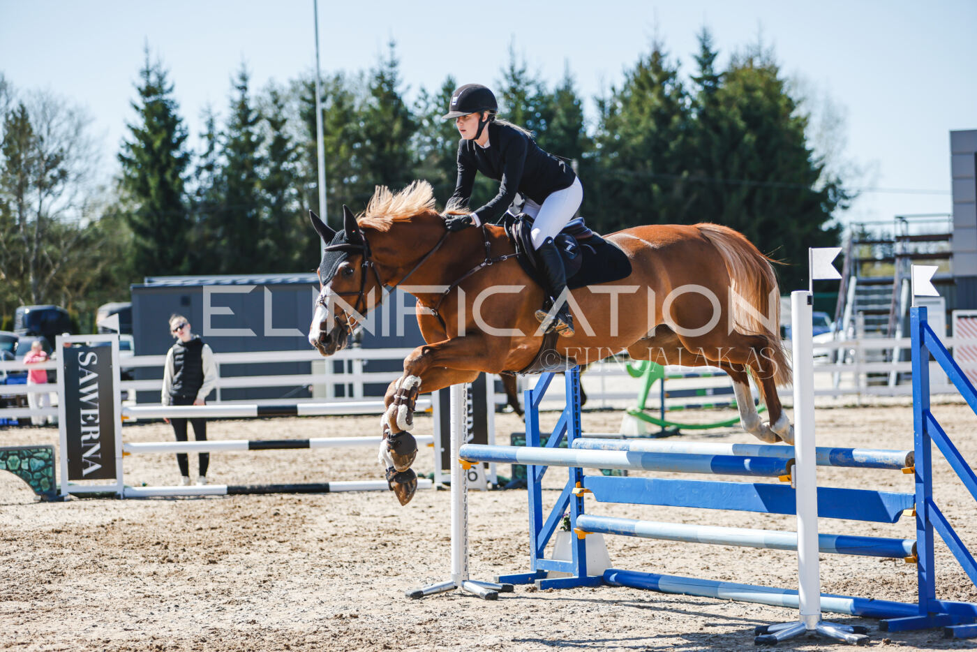 Gramina_Volber_2026_90_0950