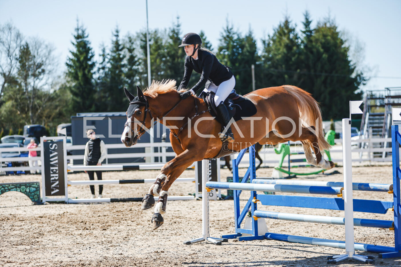 Gramina_Volber_2026_90_0951