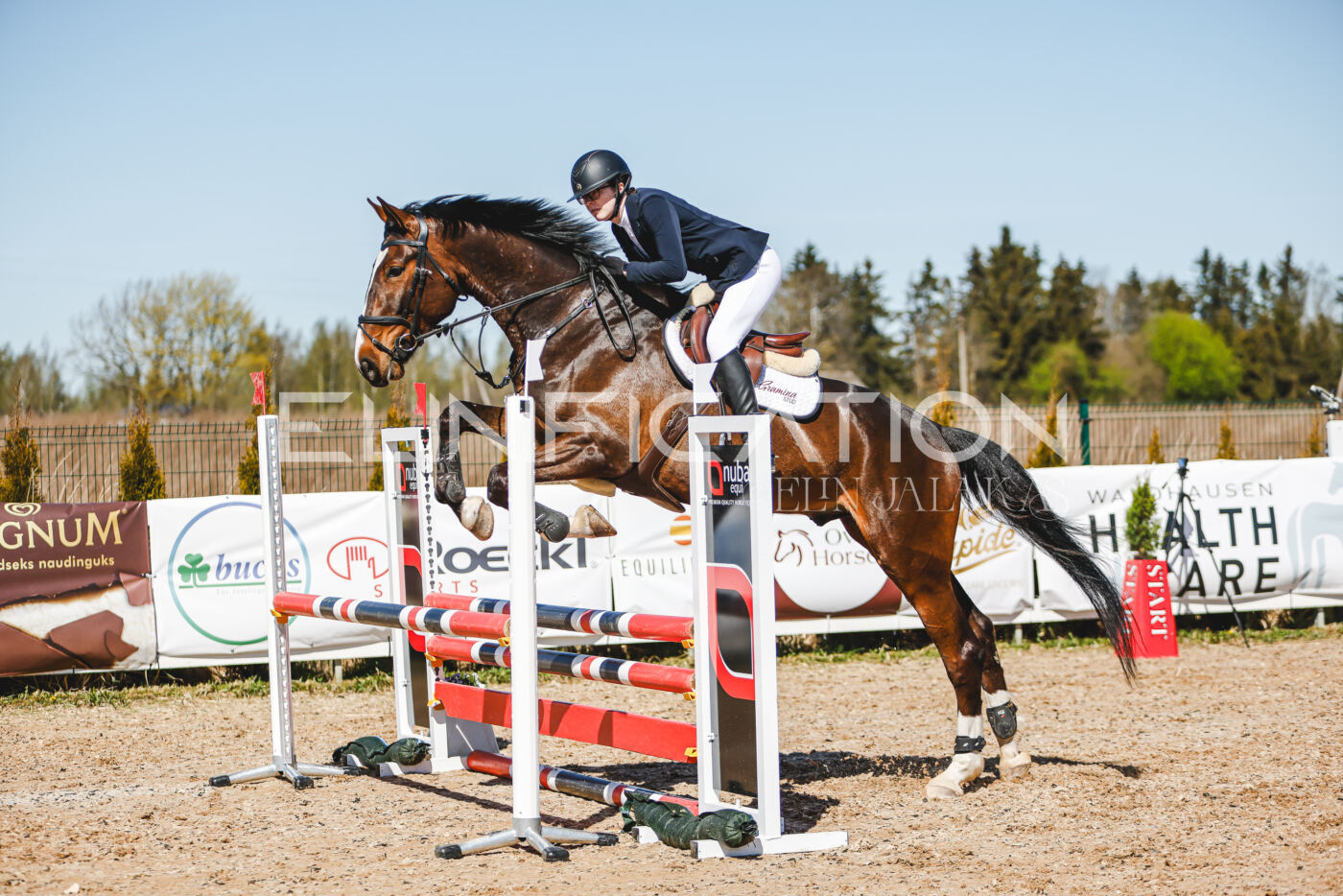 Gramina_Volber_2026_90_0952