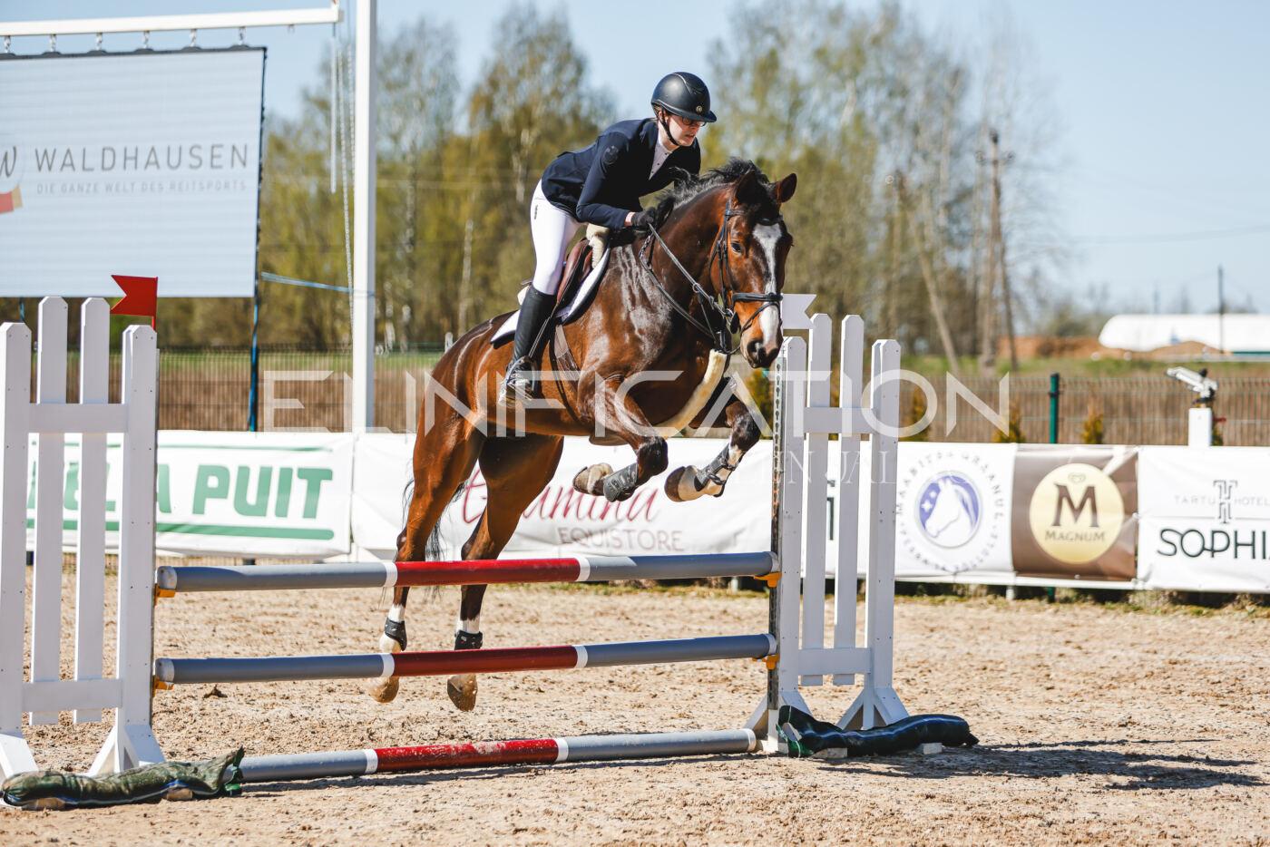 Gramina_Volber_2026_90_0959
