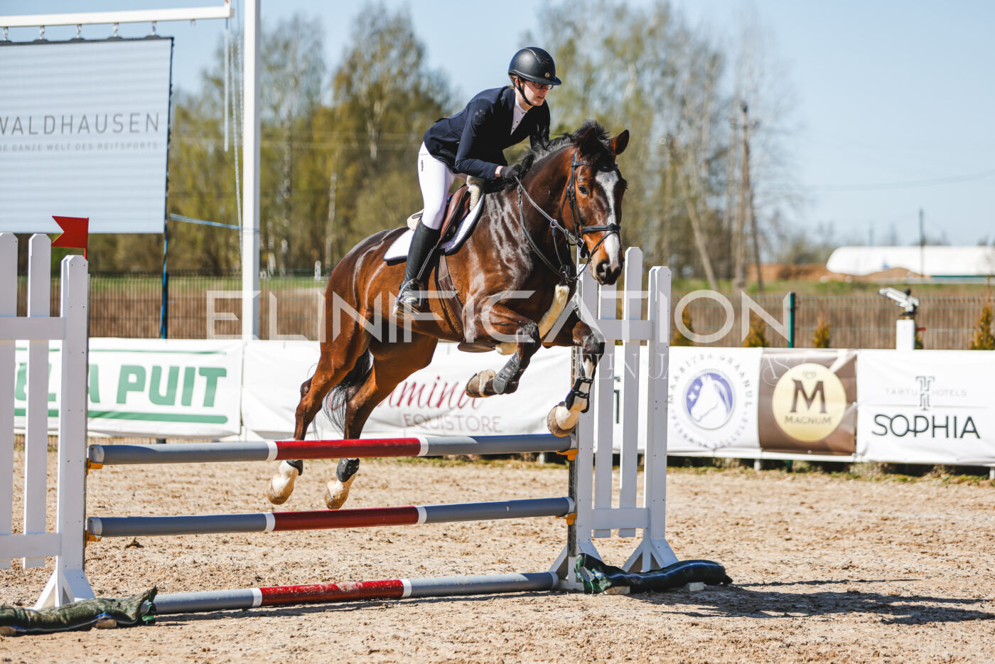 Gramina_Volber_2026_90_0960