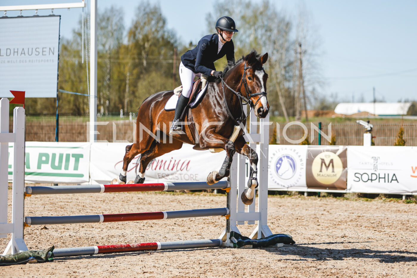 Gramina_Volber_2026_90_0961