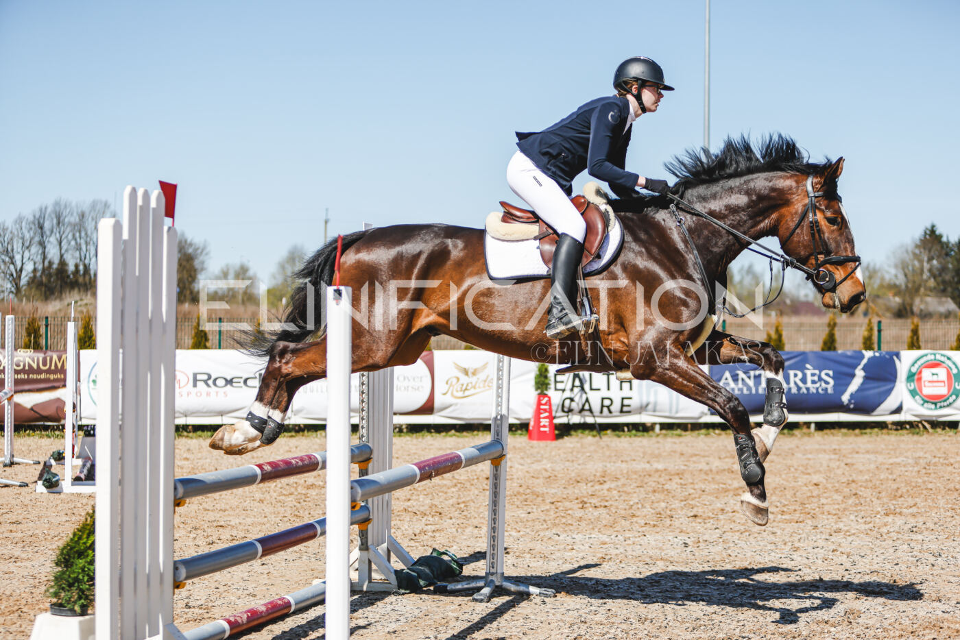 Gramina_Volber_2026_90_0966