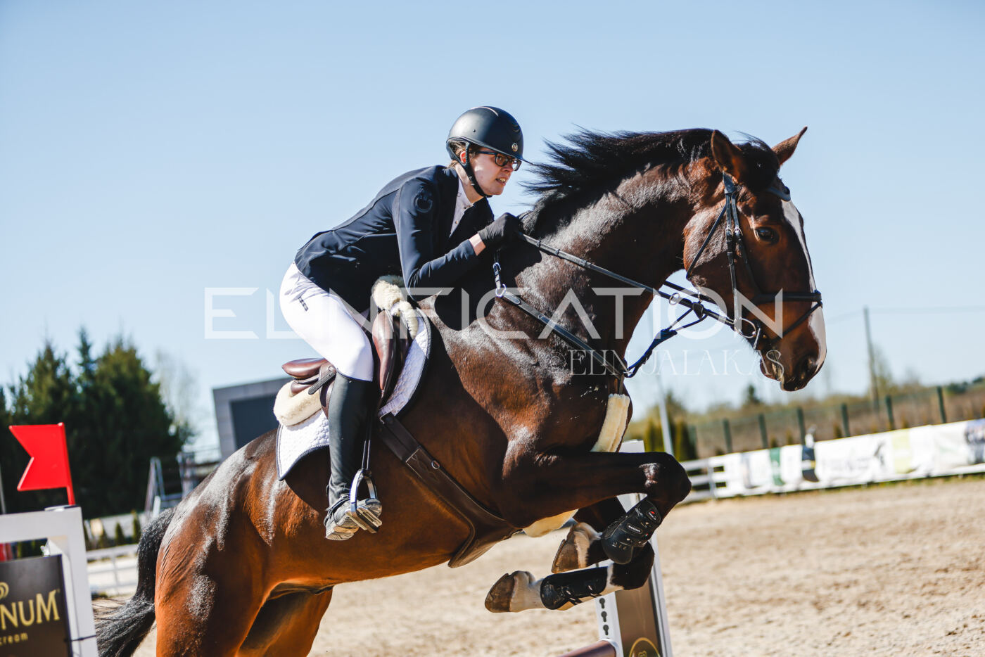 Gramina_Volber_2026_90_0977