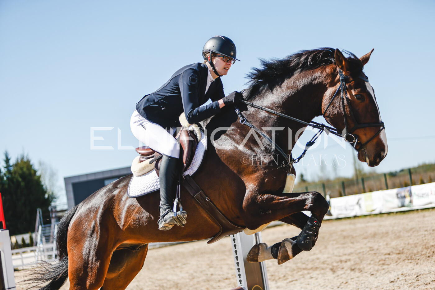 Gramina_Volber_2026_90_0978