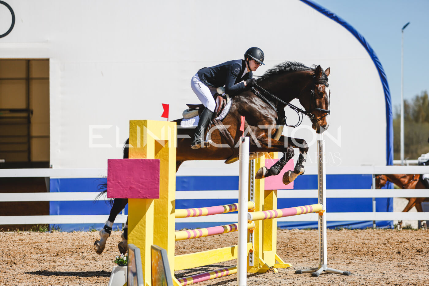 Gramina_Volber_2026_90_0979