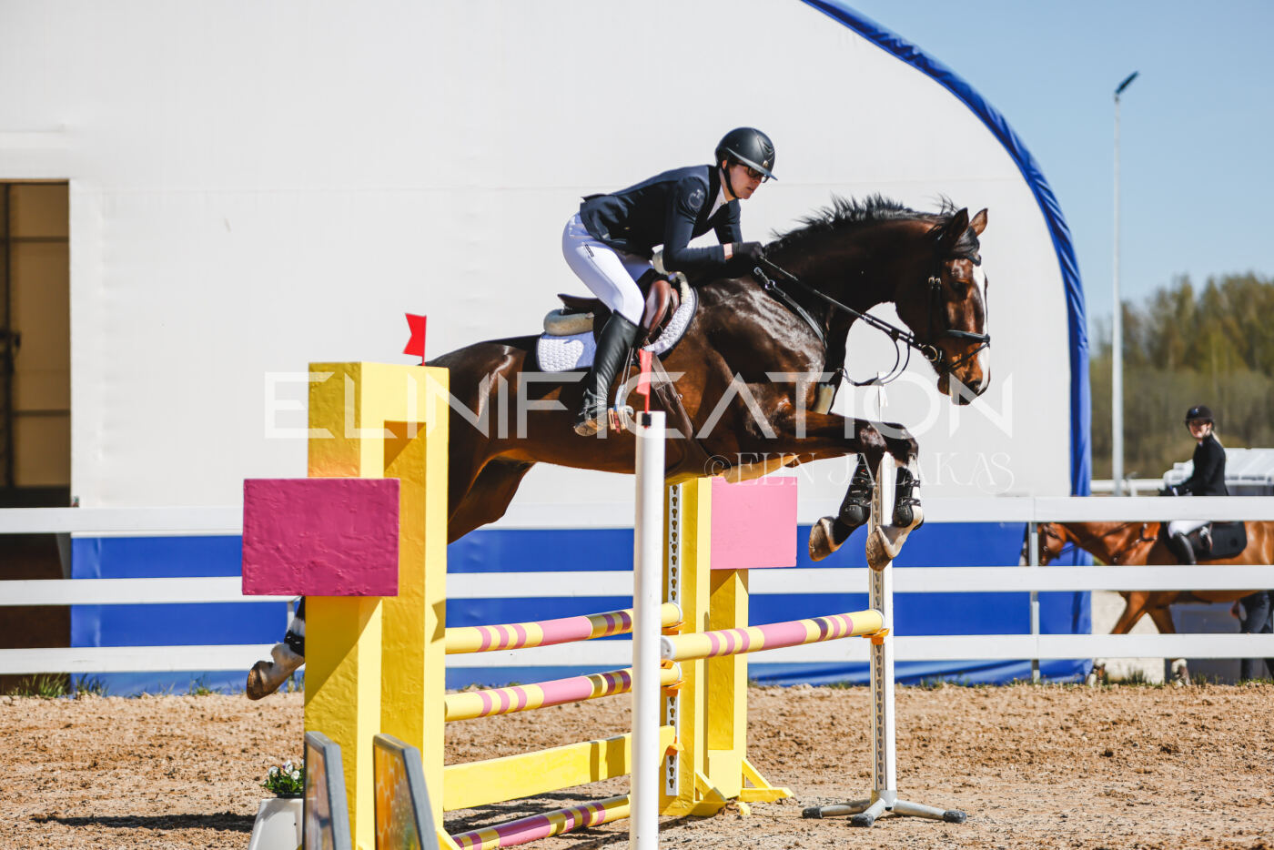 Gramina_Volber_2026_90_0980