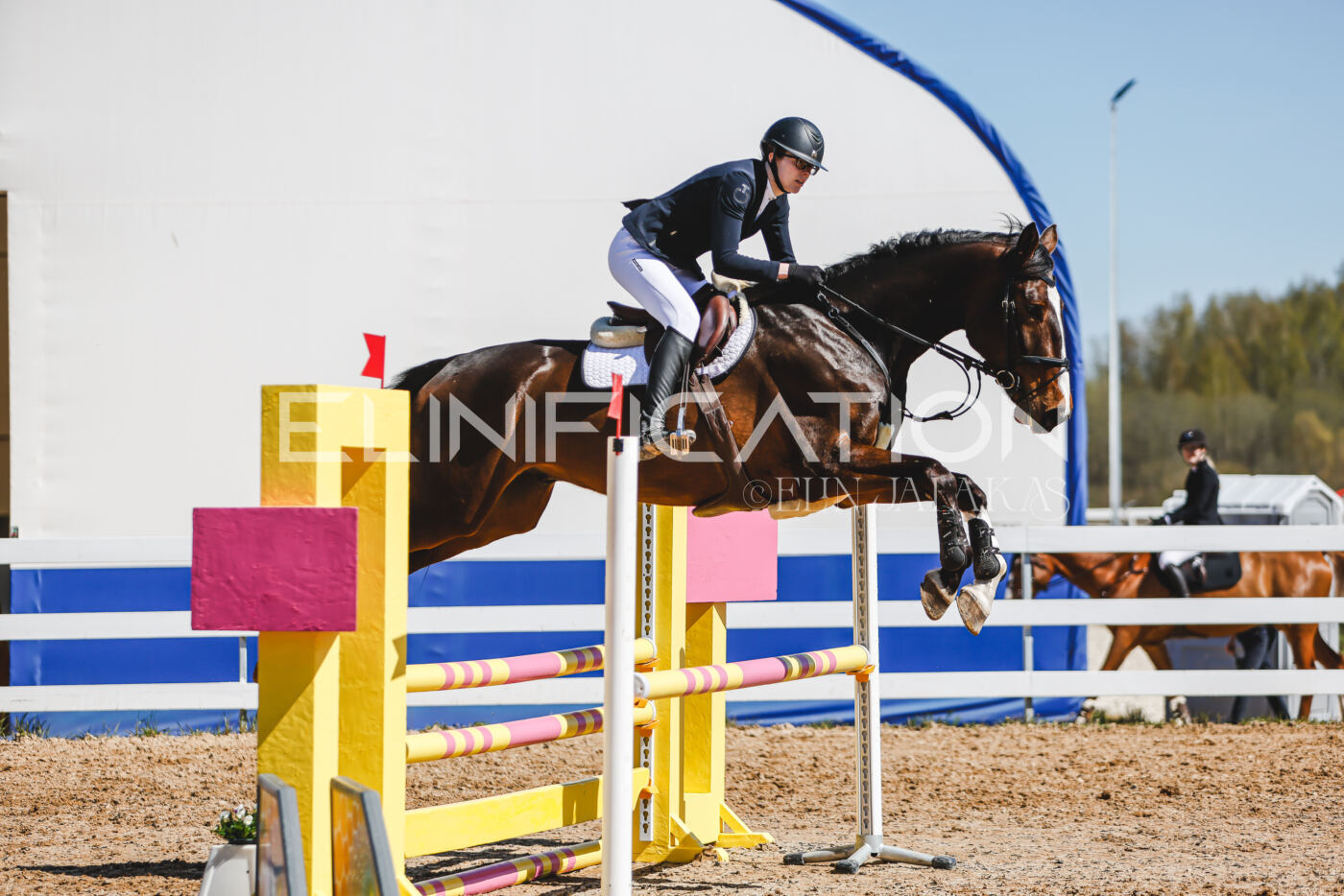 Gramina_Volber_2026_90_0981
