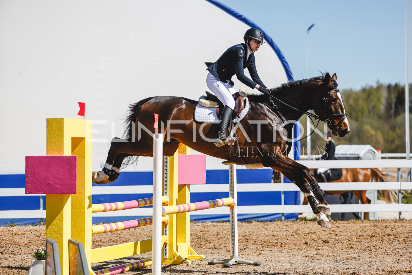 Gramina_Volber_2026_90_0983