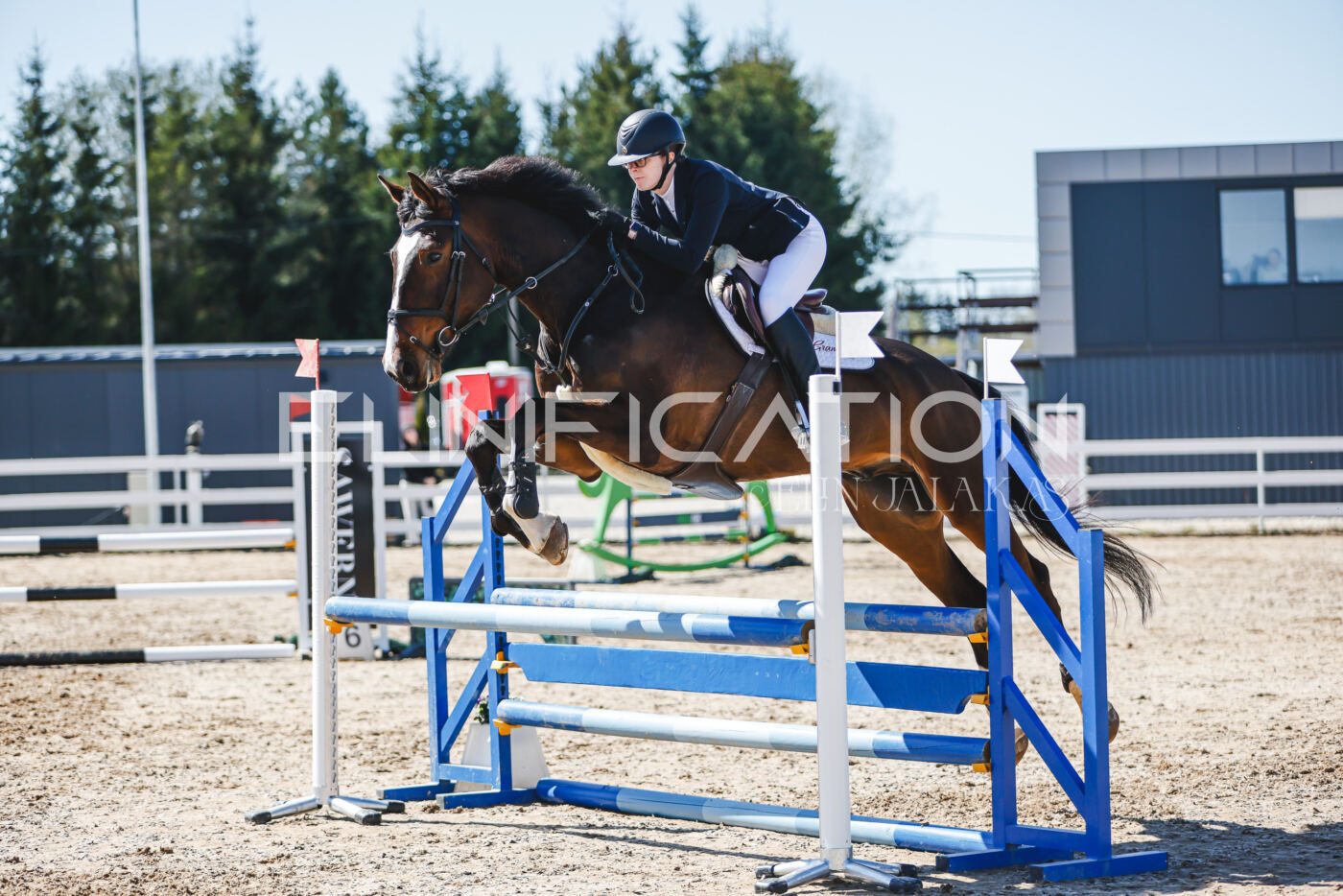 Gramina_Volber_2026_90_0985