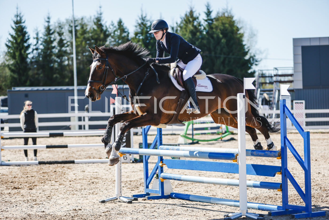 Gramina_Volber_2026_90_0987