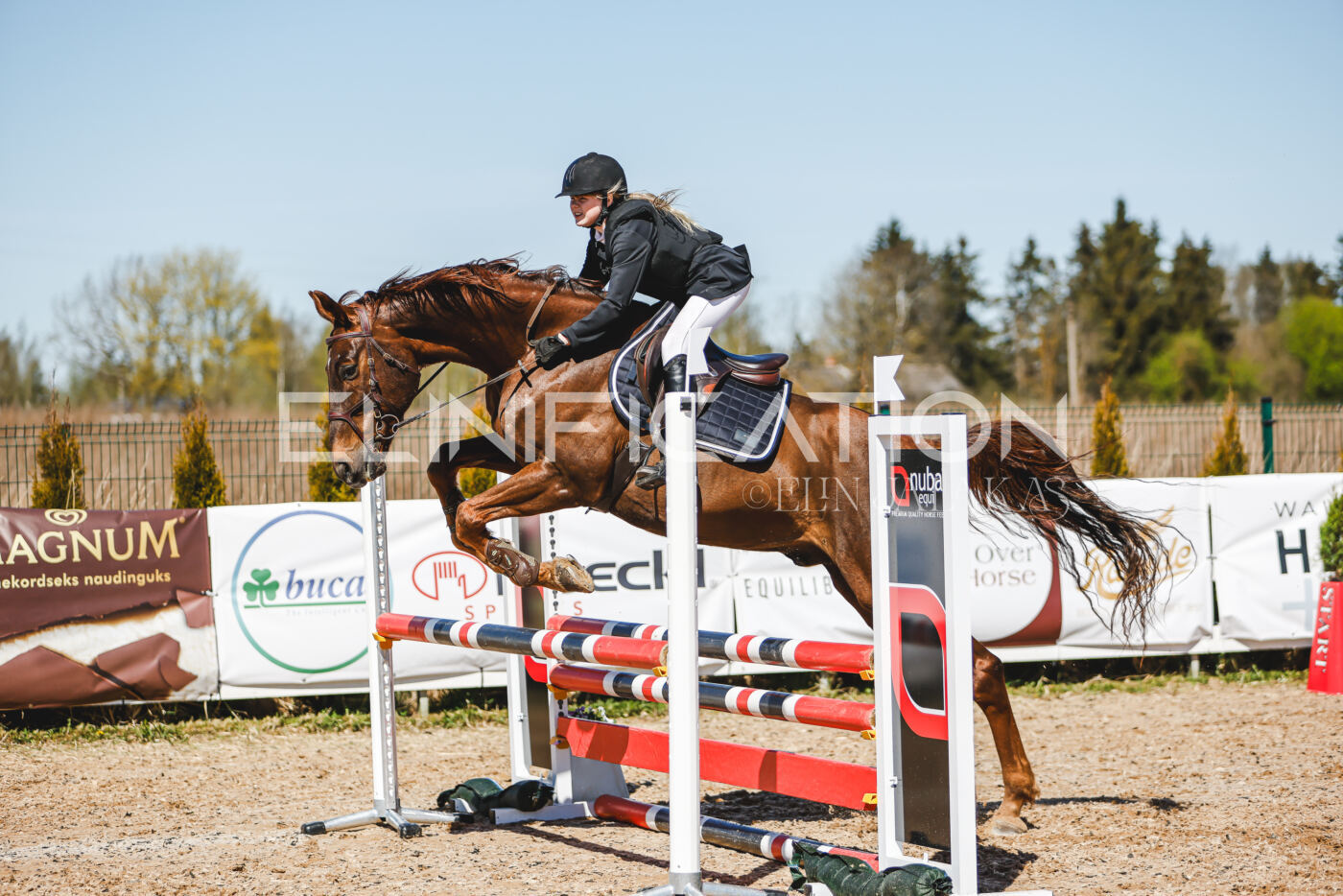 Gramina_Volber_2026_90_0990