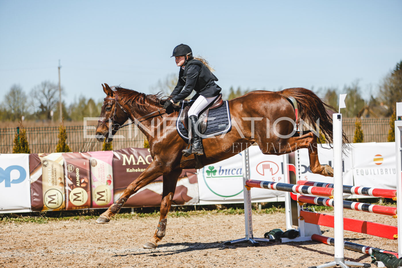 Gramina_Volber_2026_90_0995