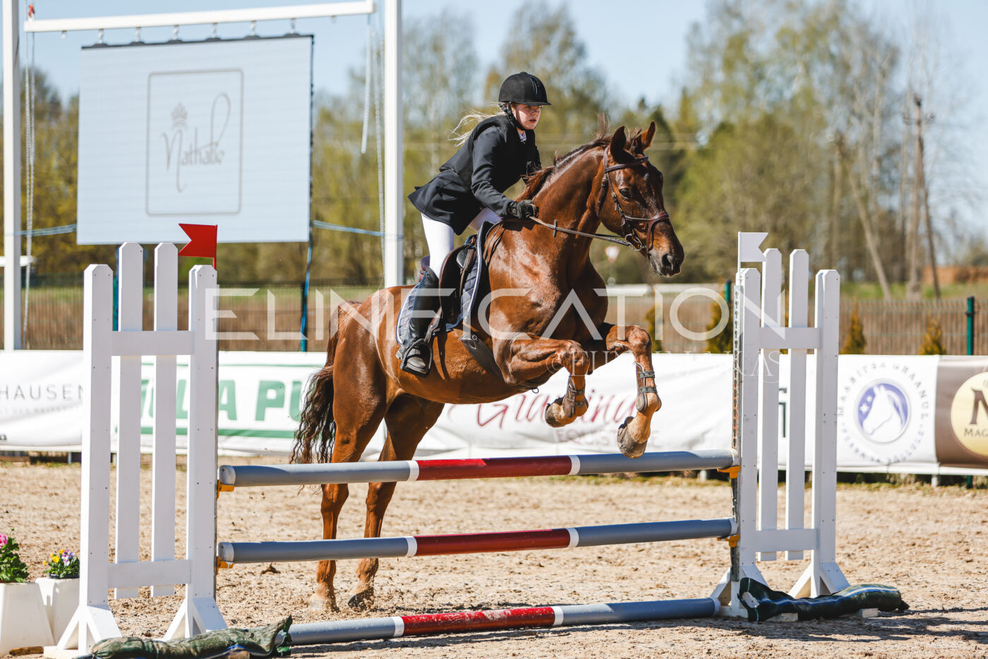 Gramina_Volber_2026_90_0996