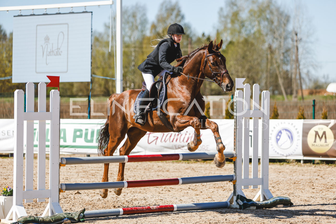 Gramina_Volber_2026_90_0997