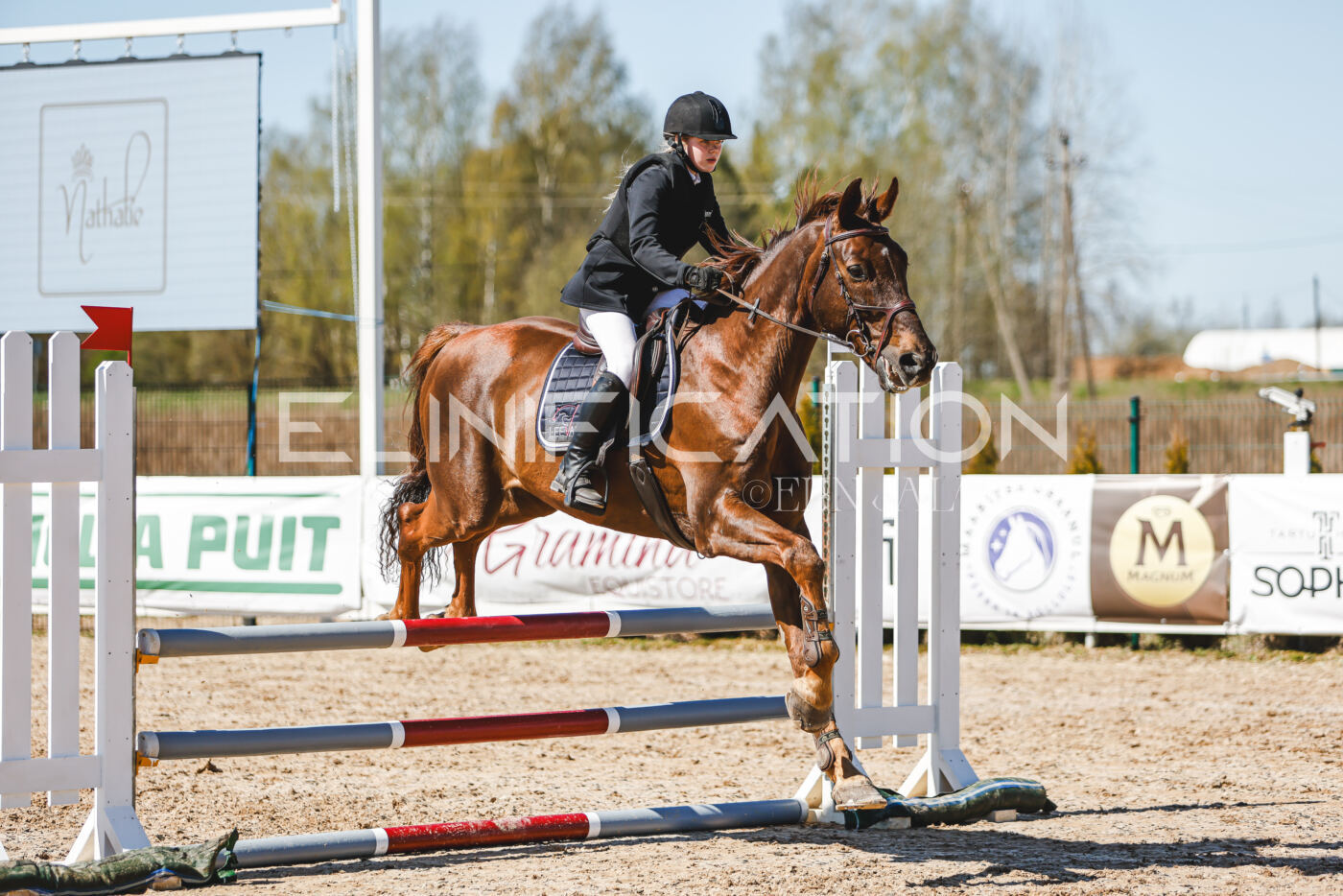 Gramina_Volber_2026_90_0999
