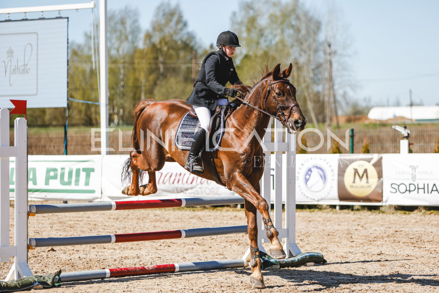 Gramina_Volber_2026_90_1000