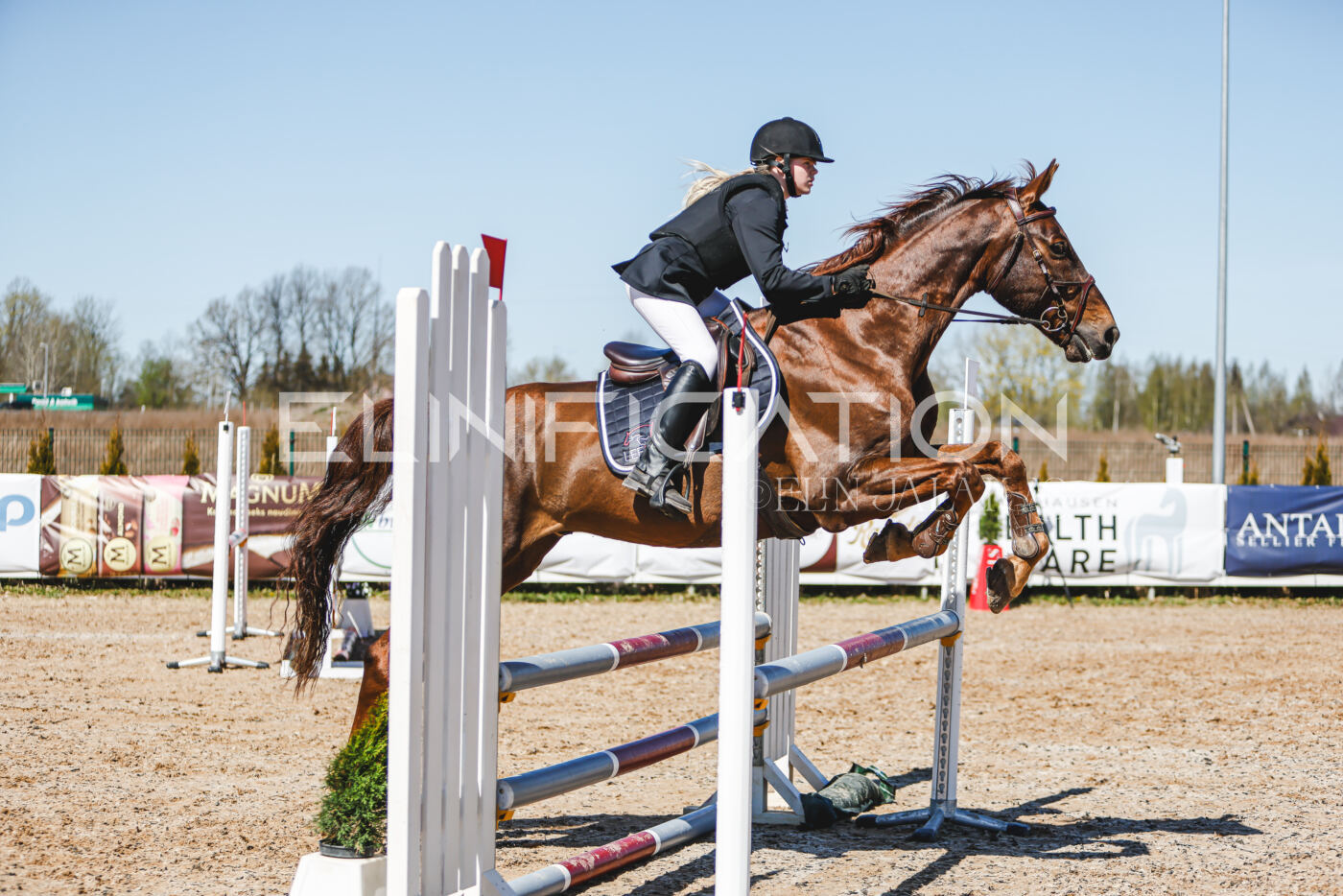 Gramina_Volber_2026_90_1002