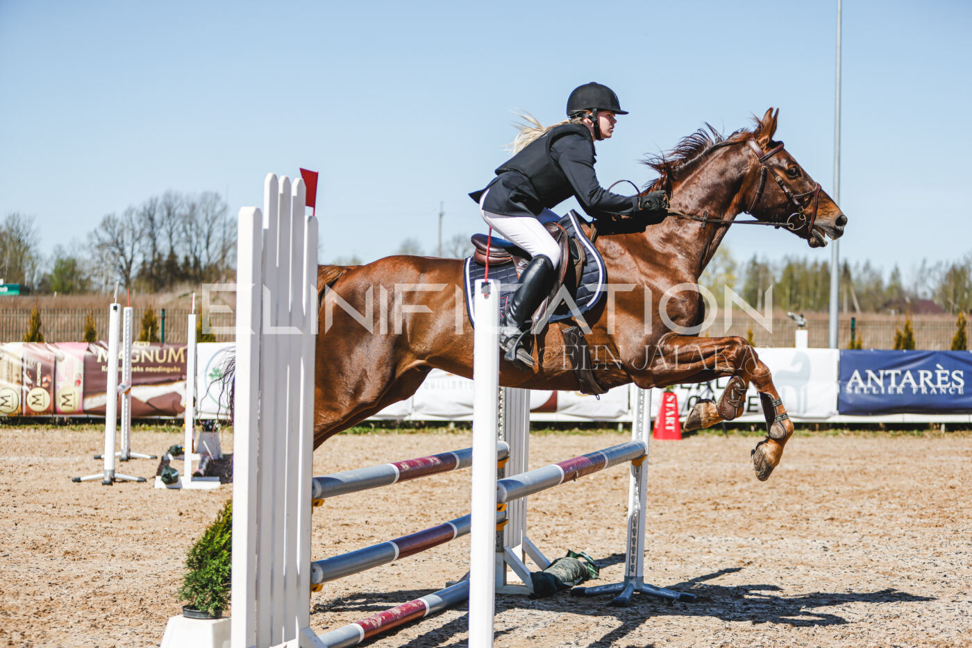 Gramina_Volber_2026_90_1003