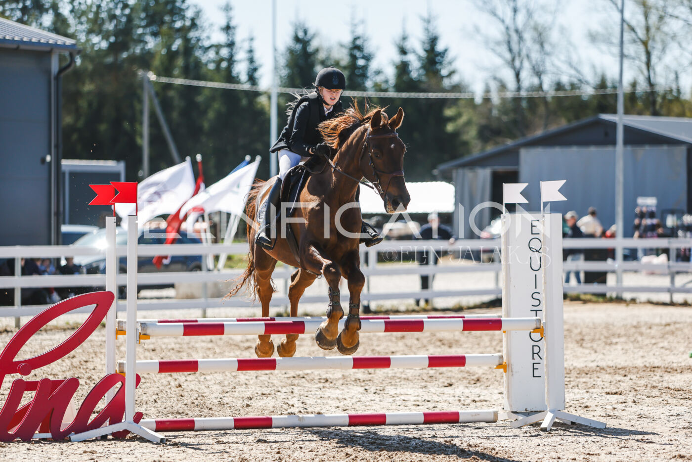 Gramina_Volber_2026_90_1011