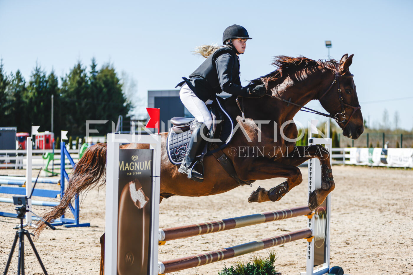 Gramina_Volber_2026_90_1012