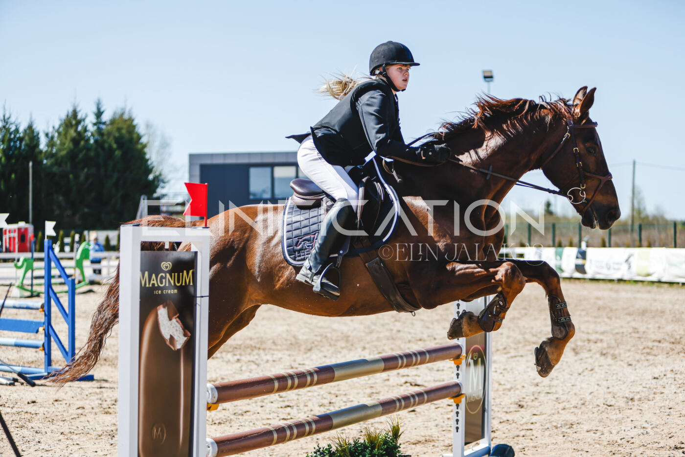Gramina_Volber_2026_90_1013