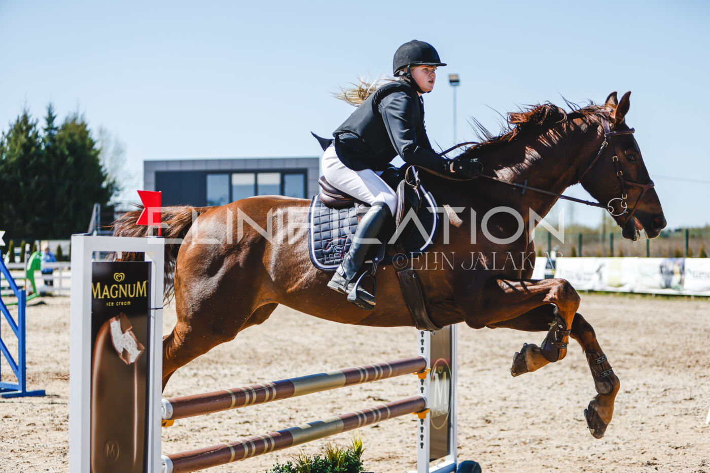 Gramina_Volber_2026_90_1014