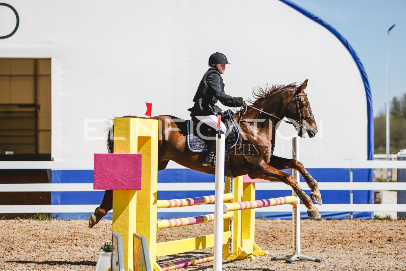 Gramina_Volber_2026_90_1017