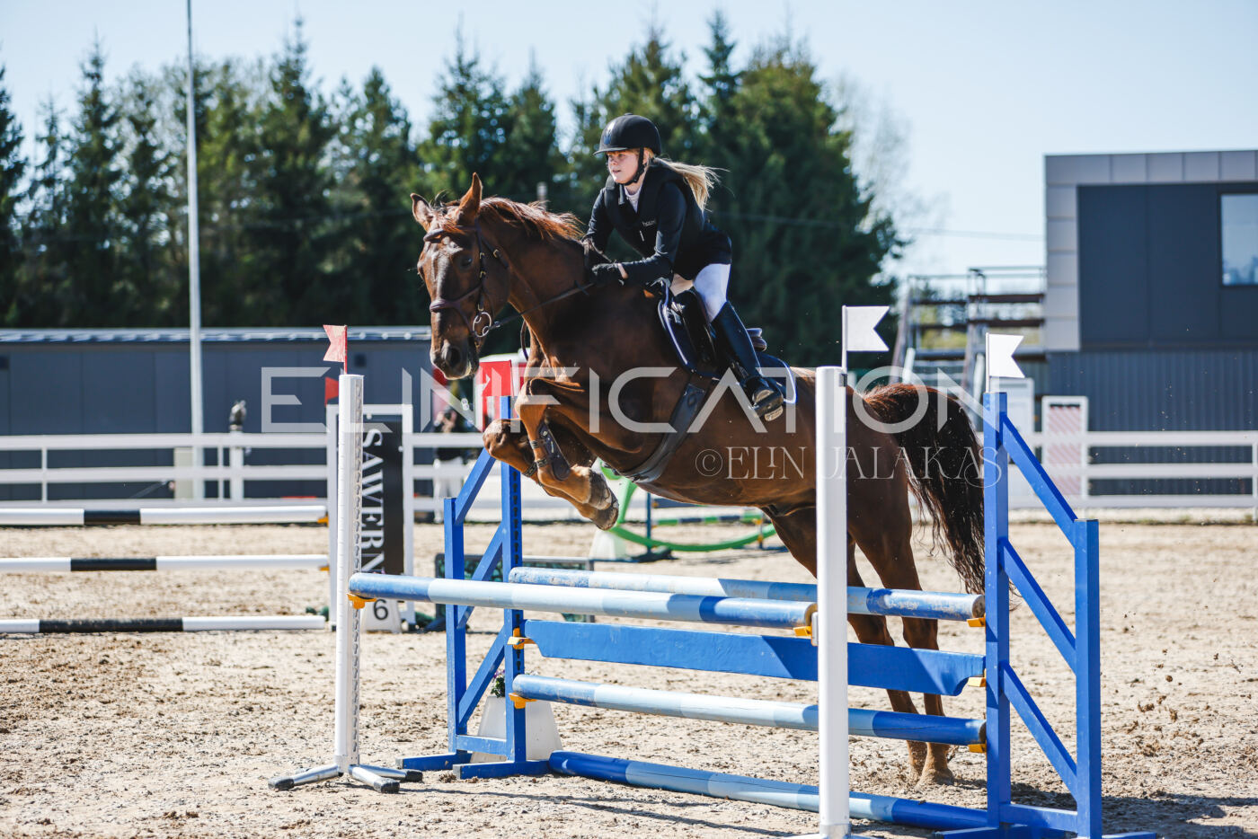 Gramina_Volber_2026_90_1018