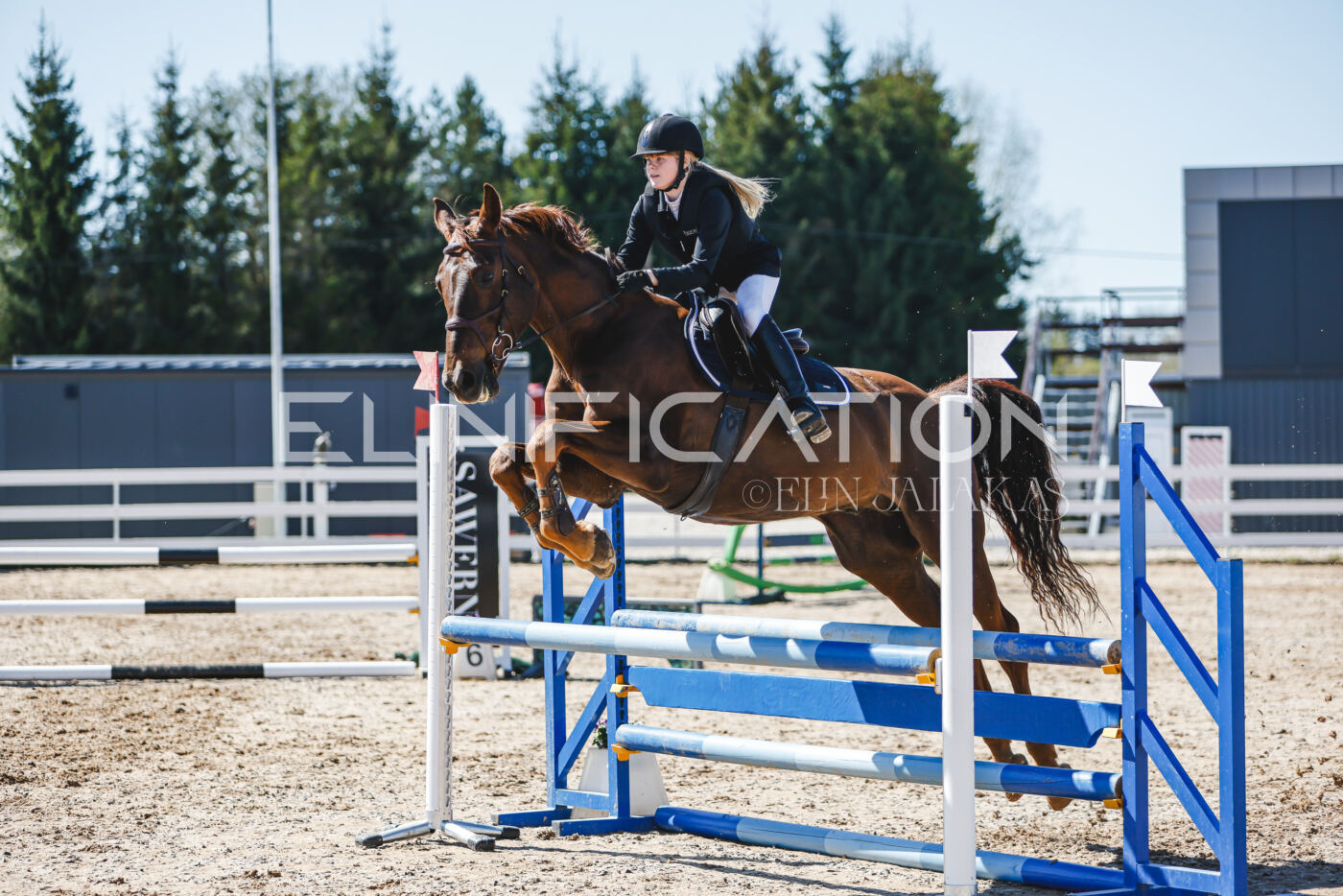 Gramina_Volber_2026_90_1019