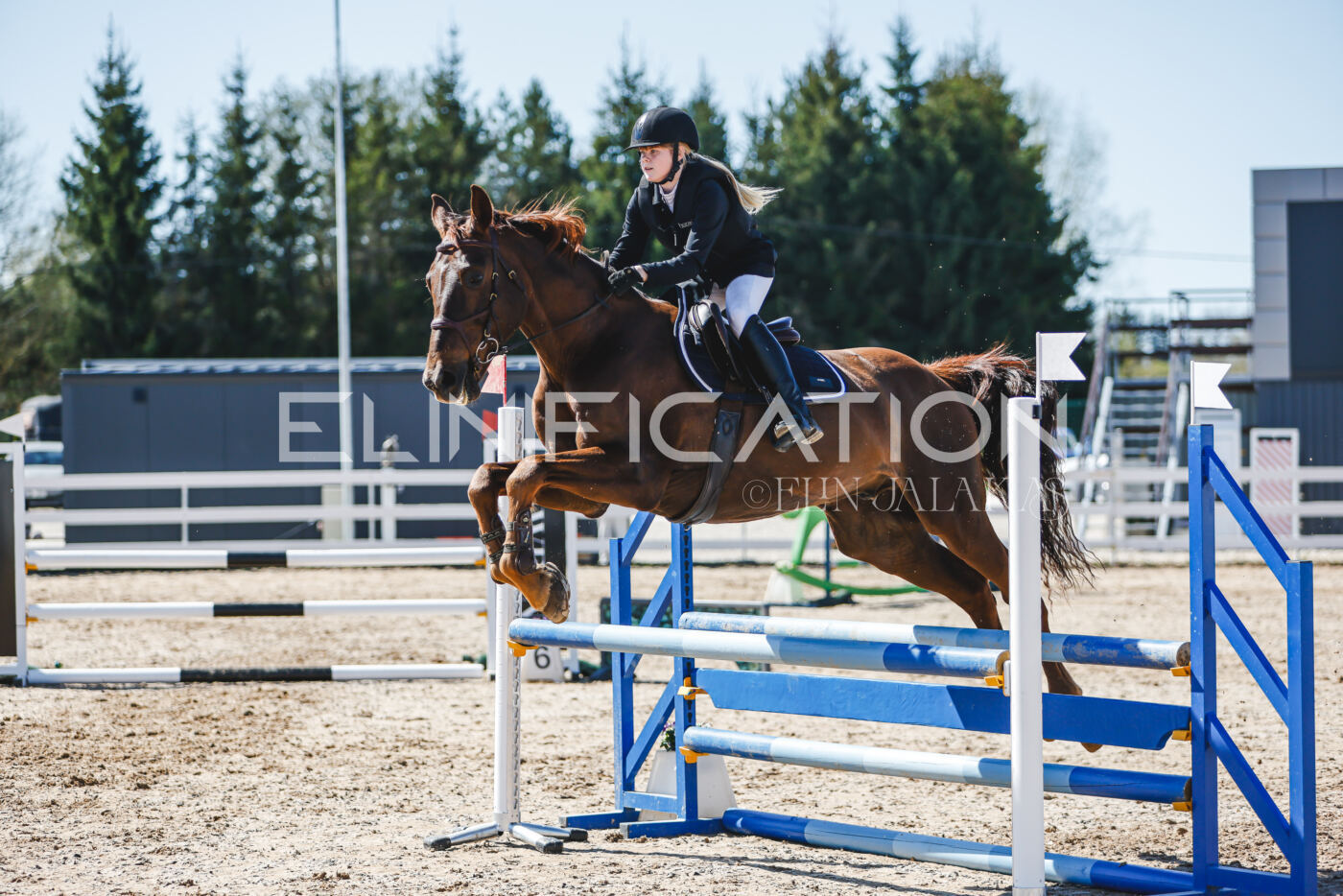Gramina_Volber_2026_90_1020