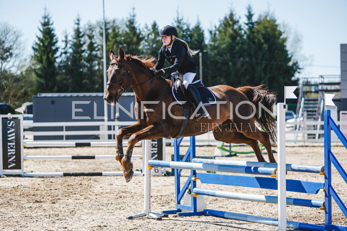 Gramina_Volber_2026_90_1021