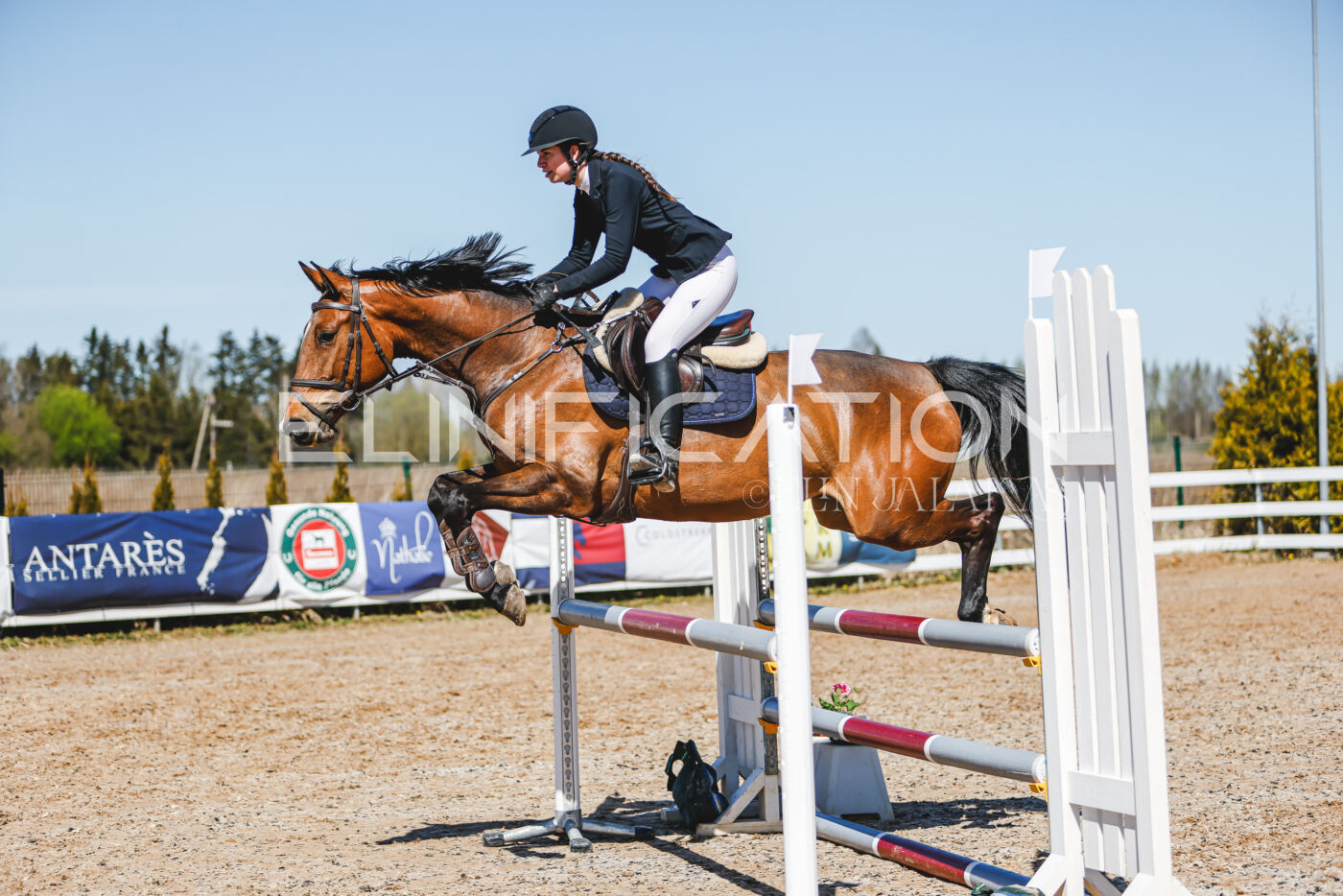 Gramina_Volber_2026_100_0026