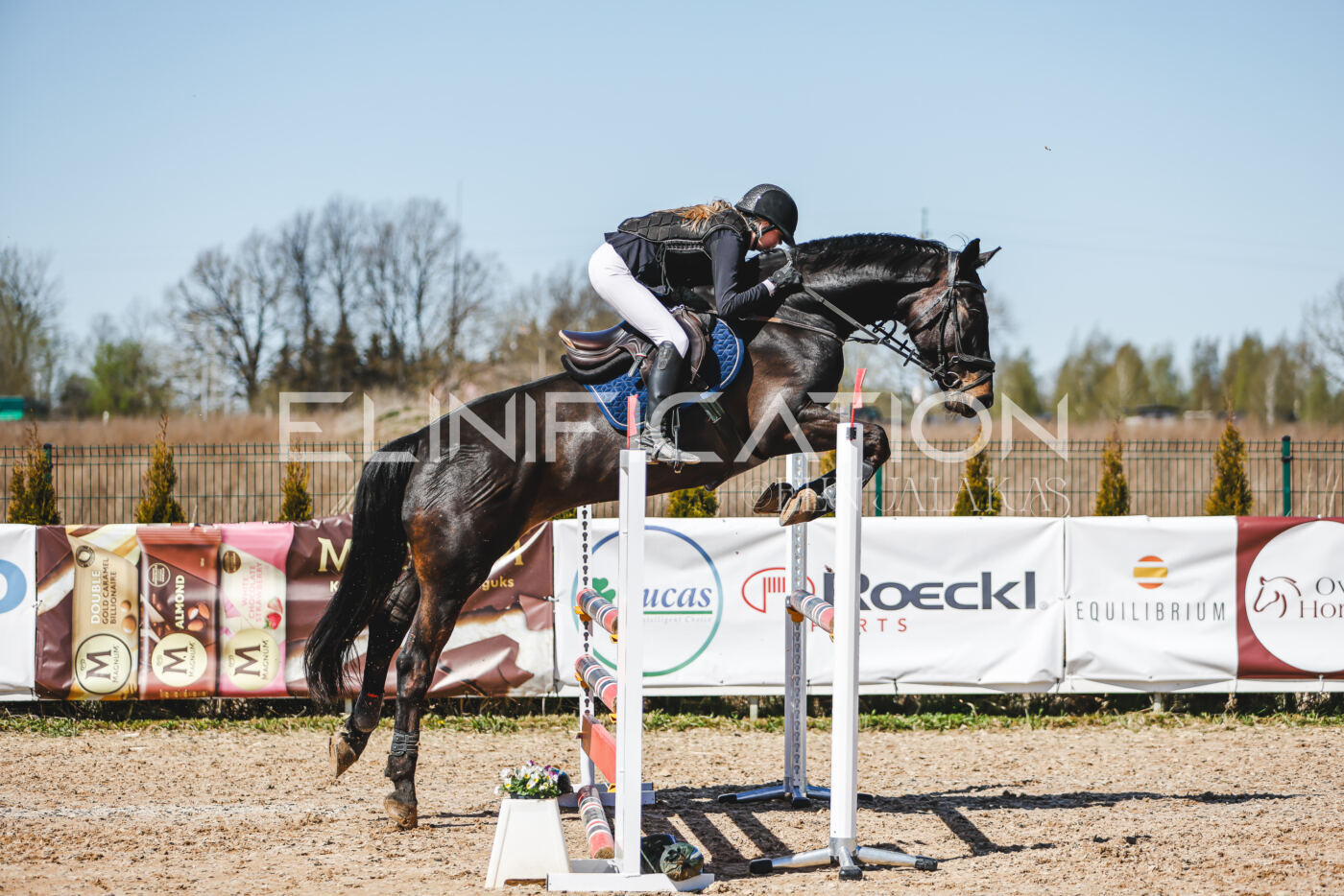 Gramina_Volber_2026_100_0056
