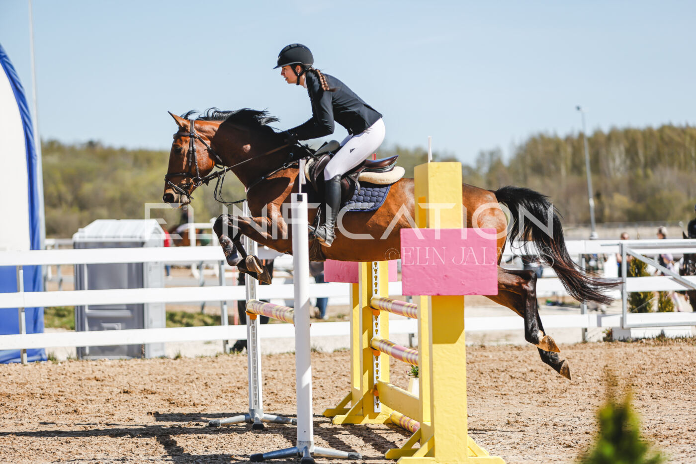Gramina_Volber_2026_100_0106